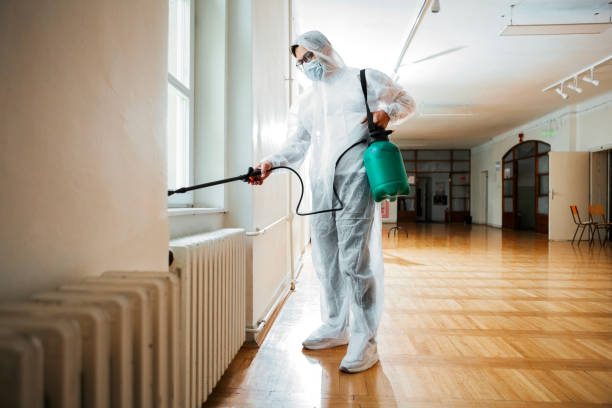 Professional Pest Control in Collingdale, PA